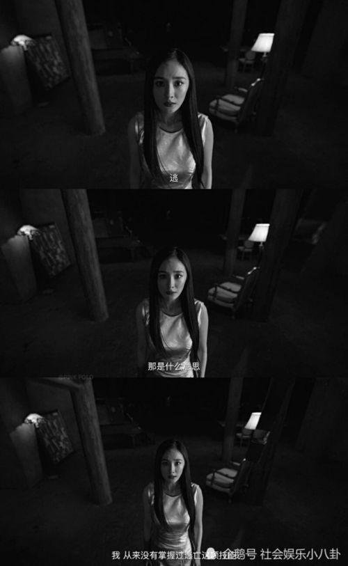 免费三十分钟视频国产,免费三十分钟视频带你领略国产风采