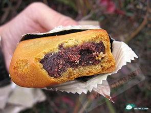 小胖试吃国产军粮视频播放