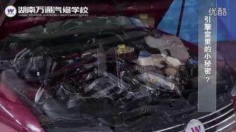 国产车维修视频账号