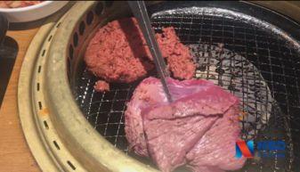 国产人造肉视频,创新科技引领未来肉类消费新趋势