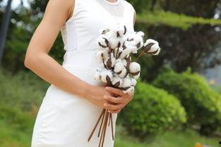 国产大胸福利视频,揭秘国内热门影视作品中的性感魅力