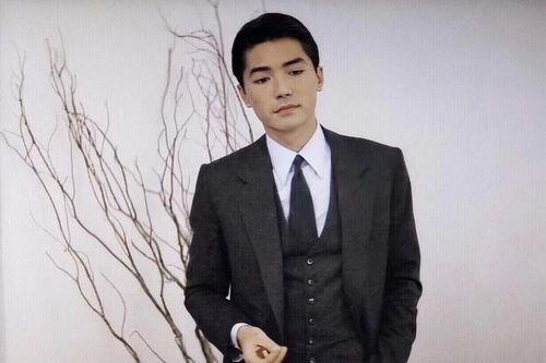 国产男明星老帅哥视频  第3张