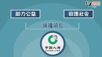 保险视频国产,揭秘保险视频国产生态与发展  第2张