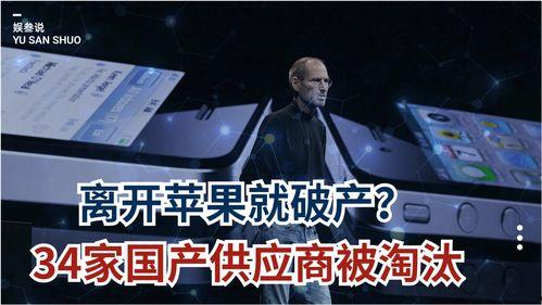 国产破产视频在线观看,揭秘企业倒闭背后的真实故事